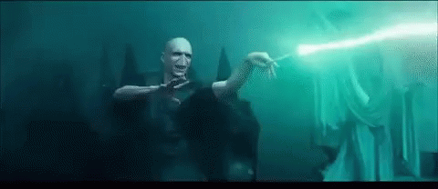 Baguette de Lord Voldemort - Ollivander