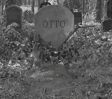 Otto Bruce GIF - Otto Bruce La Bruce GIFs