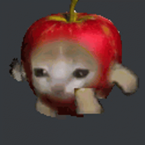 Apple Cat Gif Apple Cat Fast Discover Share Gifs