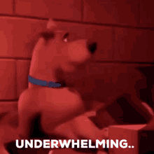 Scooby Doo Underwhelming GIF - Scooby Doo Scoob Underwhelming GIFs