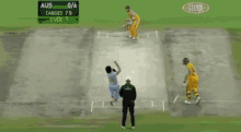 Missing Cricket GIF - Missing Cricket Miss GIFs
