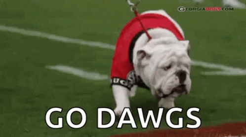 Georgia Bulldogs GIF - Georgia Bulldogs Mascot GIFs
