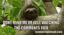 Sloth Cute GIF - Sloth Cute Smile GIFs