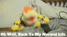 Sml Bowser GIF - Sml Bowser Oh Well Back To My Normal Life GIFs