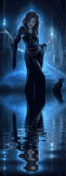 Witch Black GIF - Witch Black Cat GIFs