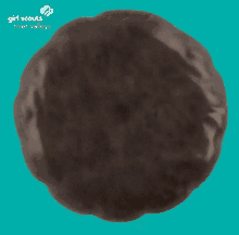Girl Scout Cookies GIF - Girl Scout Cookies GIFs