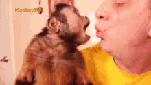 Blowing Capuchin Monkey GIF - Blowing Capuchin Monkey Monkeyboo GIFs