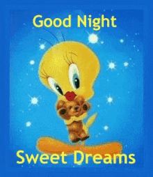 Good Night Cute GIF - Good Night Cute Tweety Bird GIFs