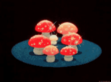Mushrooms GIF - Mushrooms GIFs