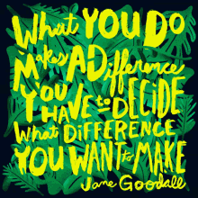 What You Do Makes A Difference You Have To Decide What Difference You Want To Make GIF - What You Do Makes A Difference You Have To Decide What Difference You Want To Make Jane Goodall GIFs
