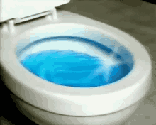 blue toilet