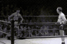Jerry Lewis Boxing GIF - Jerry Lewis Boxing Sailor Beware GIFs