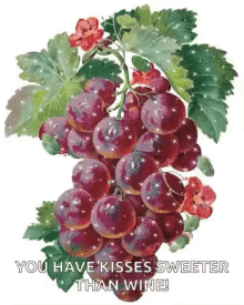 Grapes You Have Kisses Sweeter Than Wine GIF - Grapes You Have Kisses Sweeter Than Wine Love GIFs