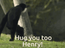 Hug Henry GIF - Hug Henry GIFs