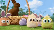 angry birds cute happy easter easter eggs easter bunny angry birds cute happy easter easter eggs easter bunny