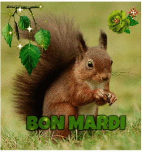 Bon Mardi GIF - Bon Mardi Bonnejournee - Discover &amp; Share GIFs