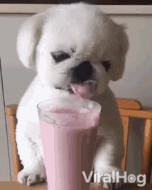 Lick Drink GIF - Lick Drink Smoothie GIFs