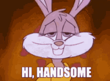 bunny handsome