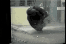 Spin Dance GIF - Spin Dance Twirling GIFs