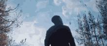 look up look around lost blue skies forest look up look around lost blue skies forest