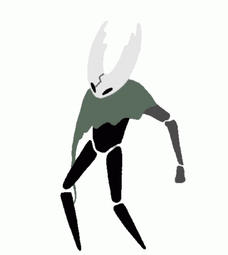 hollow knight the hollow knight art