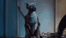 Rankle You May Worship Me If You Like GIF - Rankle You May Worship Me If You Like Mummified Sphinx Cat GIFs