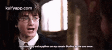 Iacaldentelly Set A Python On My Oousin Dudley At The Zoo Once..Gif GIF - Iacaldentelly Set A Python On My Oousin Dudley At The Zoo Once. Harry Potter Q GIFs