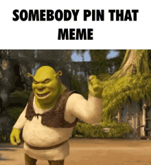 Shrek Pin Meme Funny GIF - Shrek Pin Meme Funny GIFs
