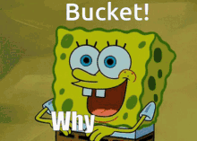 Bucket Why Not GIF - Bucket Why Not Bucket Why Not GIFs