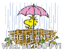 snoopy woodstock rain the plants will be happy
