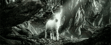 The Lord Of The Rings White Stag GIF - The Lord Of The Rings White Stag Deer GIFs