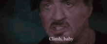 Climb Baby Stallone GIF - Climb Baby Climb Baby GIFs