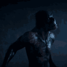 Lucan Werewolf GIF - Lucan Werewolf Transformation GIFs
