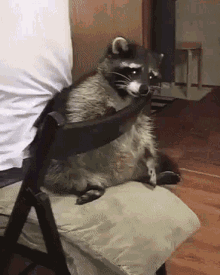 Raccoon Sad GIF - Raccoon Sad Mapache GIFs