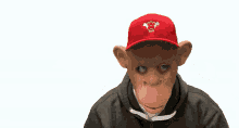 Gernot Pirker Monkey Media GIF - Gernot Pirker Monkey Media Dab GIFs
