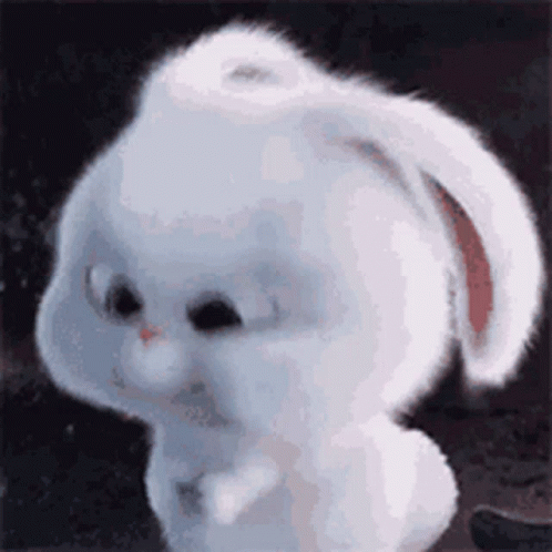 Snowball rabbit