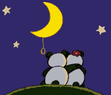 pandas in love turn off the moon many kisses