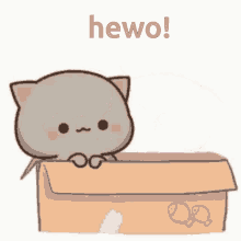 Hello Hewo GIF - Hello Hewo Hi GIFs