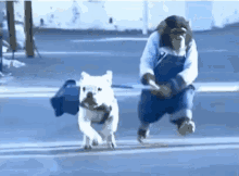 Dog Bull Dog GIF - Dog Bull Dog Run GIFs