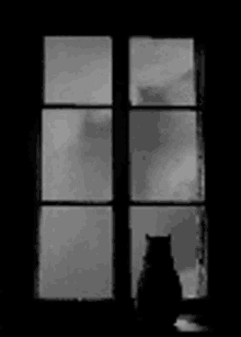 Cat Staring In The Window Alone GIF - Cat Staring In The Window Wind Cat GIFs