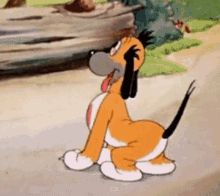 Looney Tunes Dog GIF - Looney Tunes Dog Dog Smile GIFs