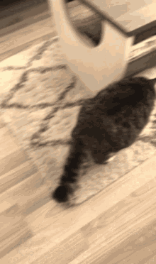 Cat Scratch GIF - Cat Scratch Scratching GIFs