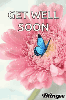 get well soon sparkles flowers butterfly