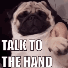 Talk To The Hand Pug GIF - Talk To The Hand Pug GIFs