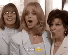 First Wivesclub Goldie Hawn GIF - First Wivesclub Goldie Hawn Bette Midler GIFs