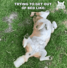 Trying Get Out Gif Trying Get Out Bed Descubre Comparte Gifs