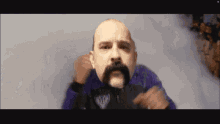 Dynasty Vipers GIF - Dynasty Vipers GIFs