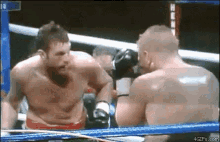 self punch punch fail boxing boxing fail self punch punch fail boxing boxing fail