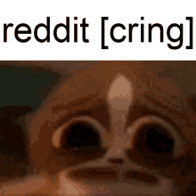reddit cringe reddit cringe reddit watermark redditor reddit cringe reddit cringe reddit watermark redditor