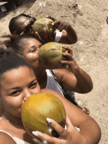 Coconut Suriname GIF - Coconut Suriname Coronie GIFs